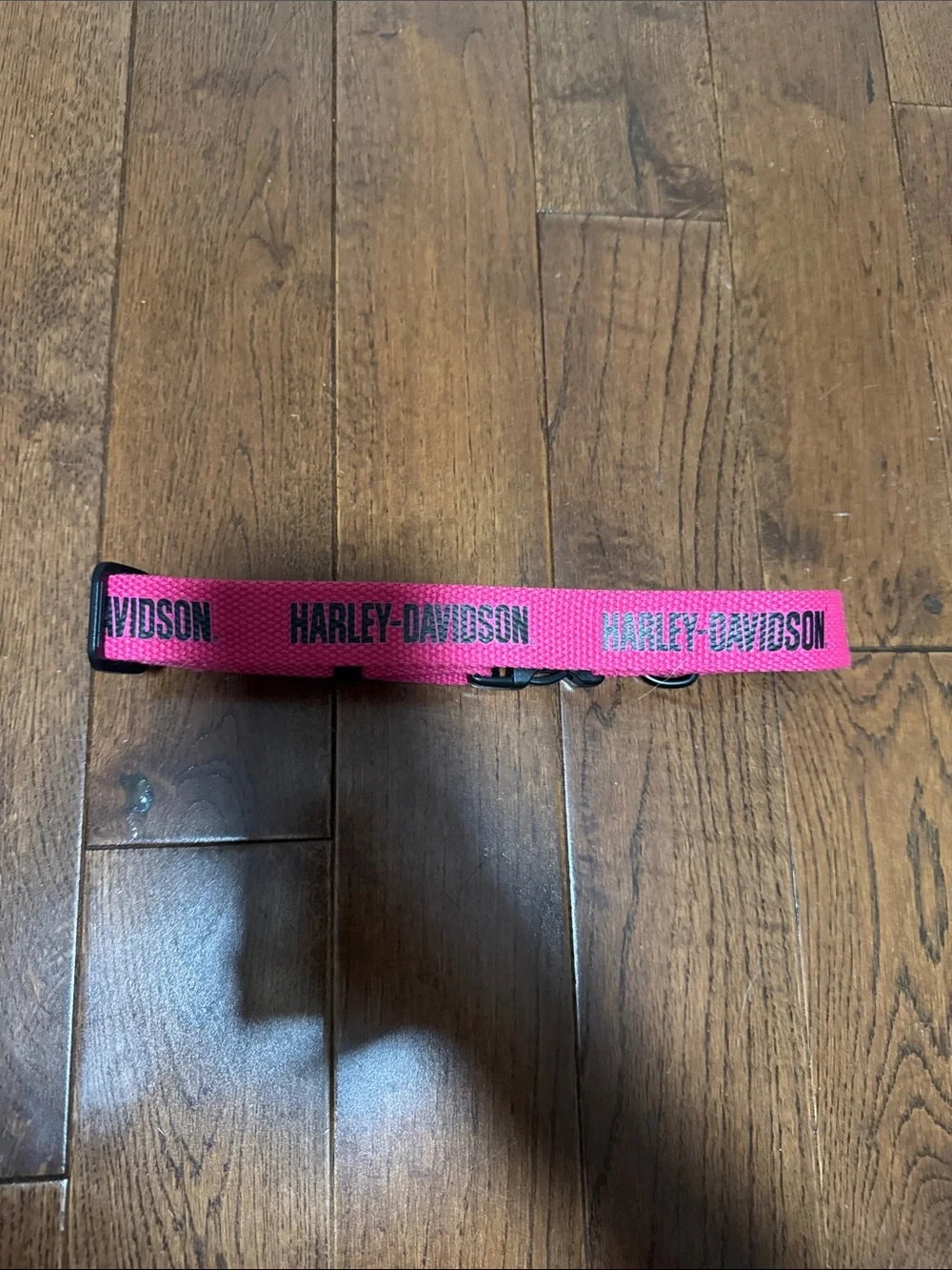 Harley-Davidson Hot Pink Adjustable Web Dog Collar with Black Buckle
